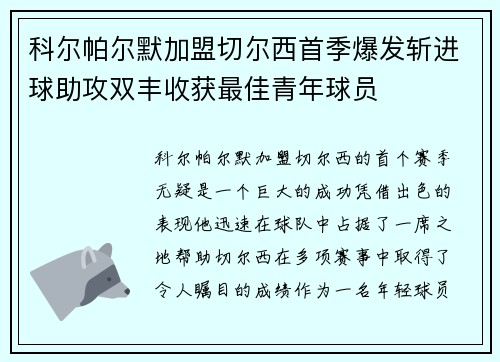 科尔帕尔默加盟切尔西首季爆发斩进球助攻双丰收获最佳青年球员